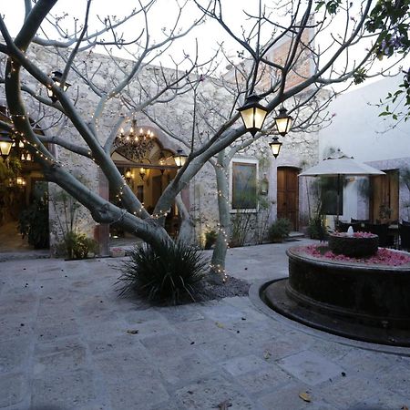 Orchid House San Miguel De Allende Exteriér fotografie