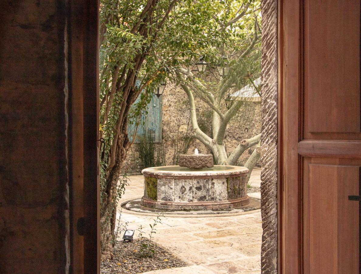 Orchid House San Miguel De Allende Exteriér fotografie