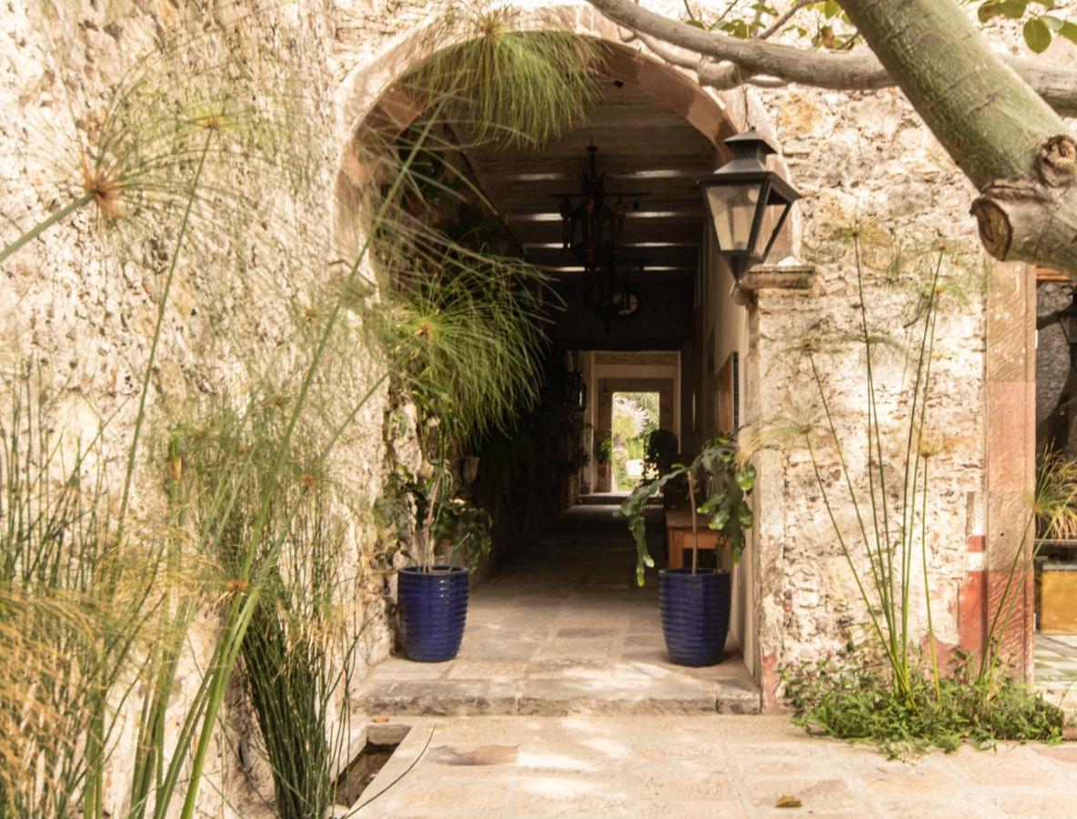 Orchid House San Miguel De Allende Exteriér fotografie