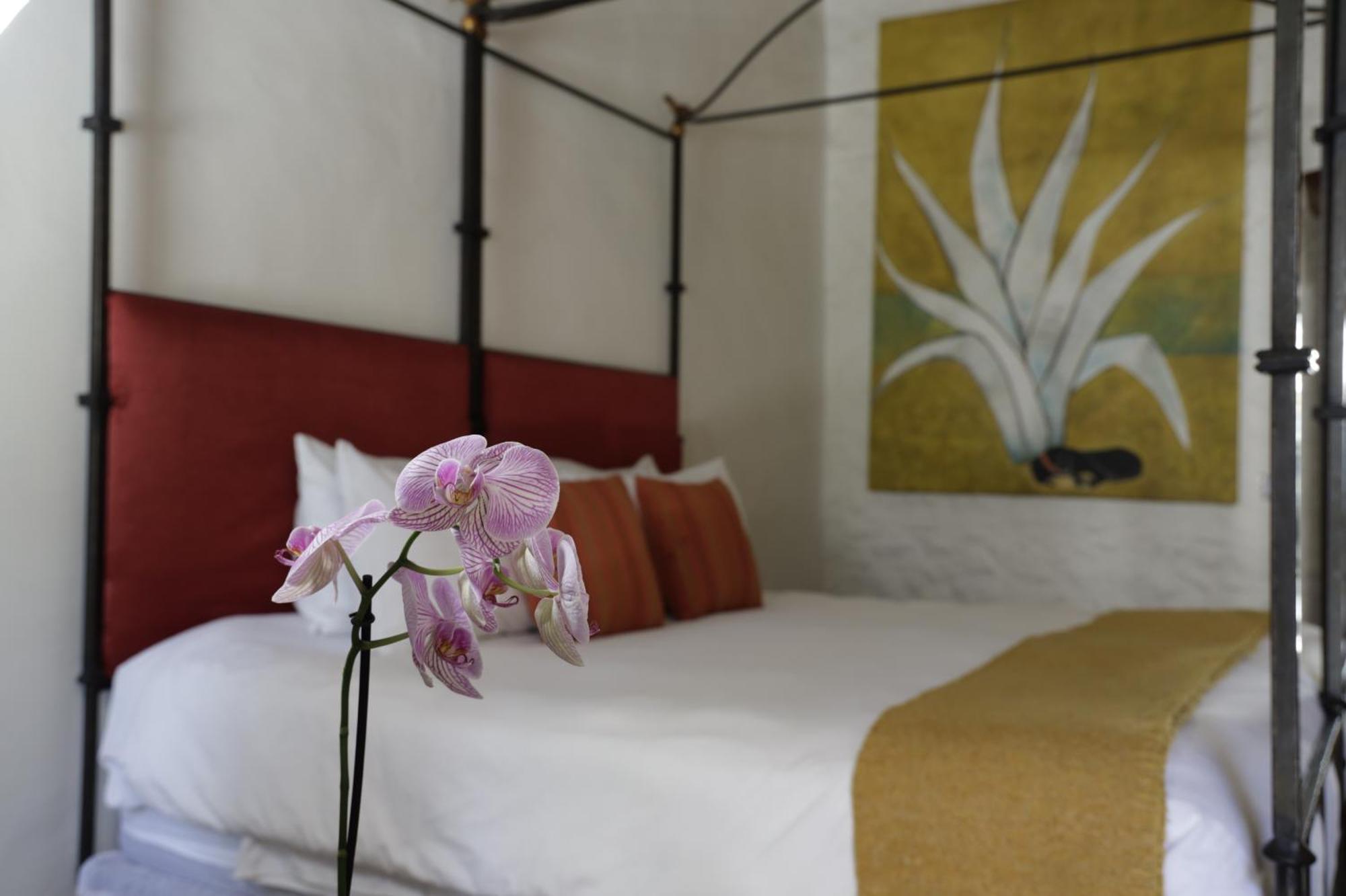 Orchid House San Miguel De Allende Exteriér fotografie
