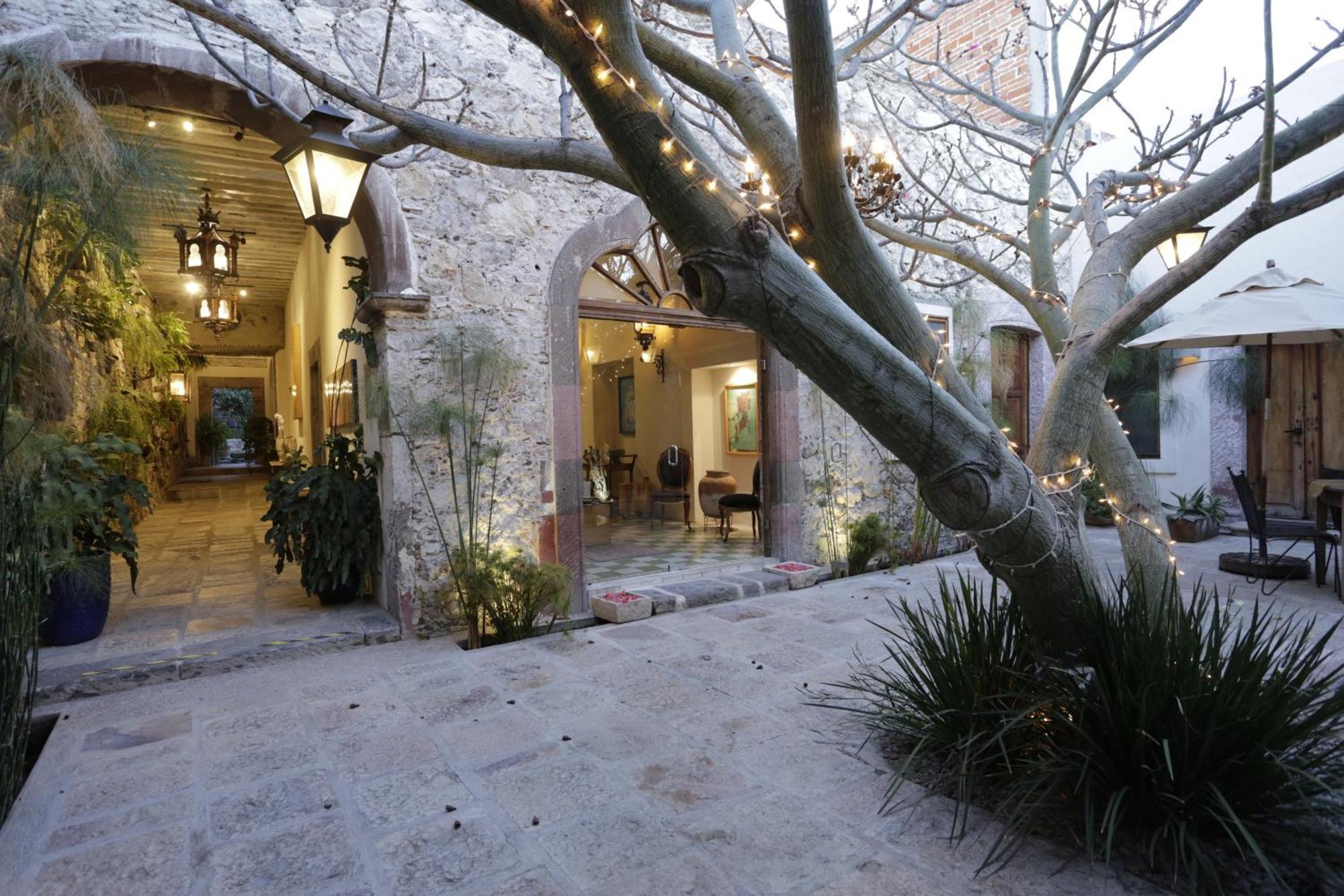 Orchid House San Miguel De Allende Exteriér fotografie