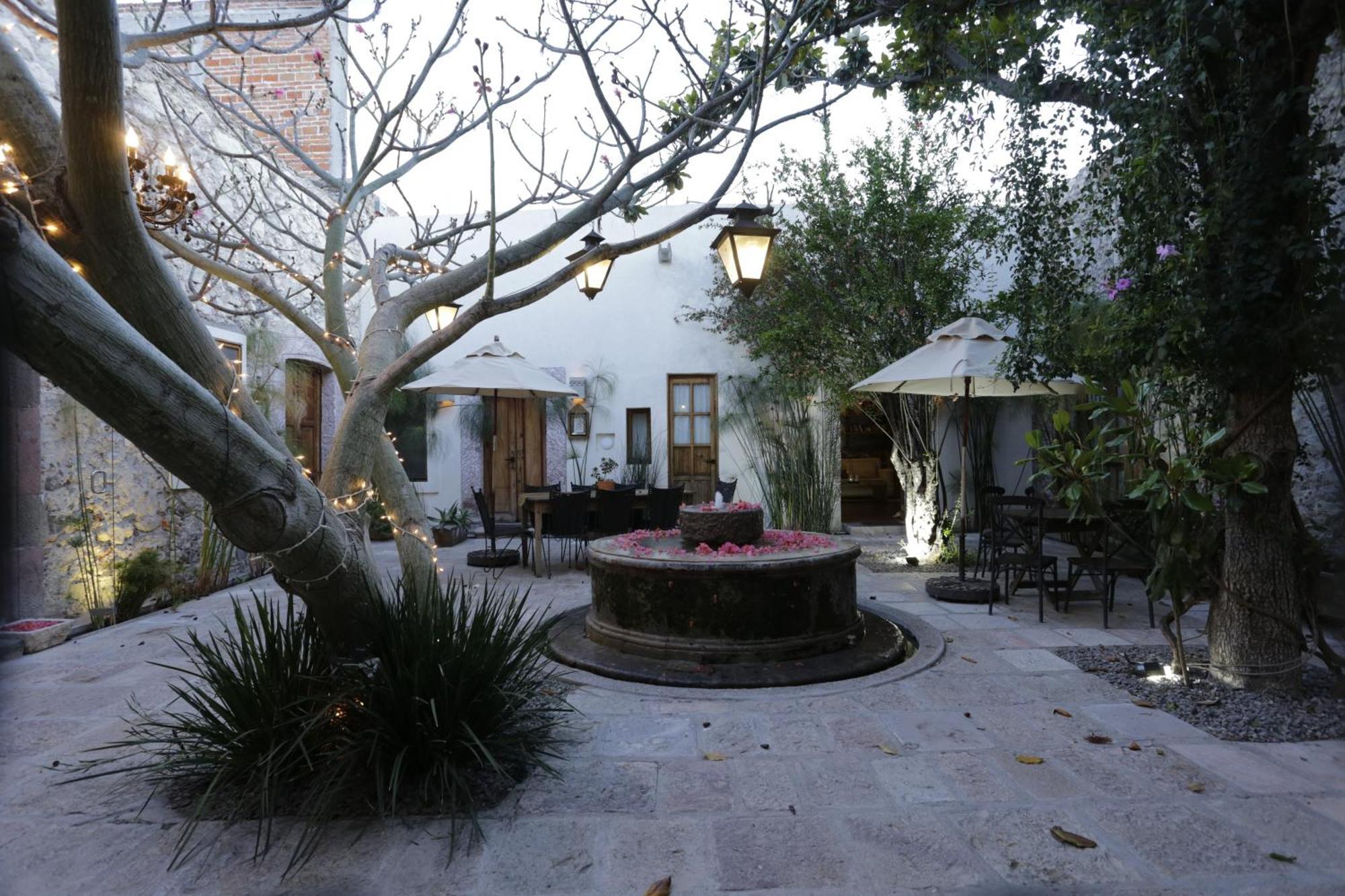 Orchid House San Miguel De Allende Exteriér fotografie