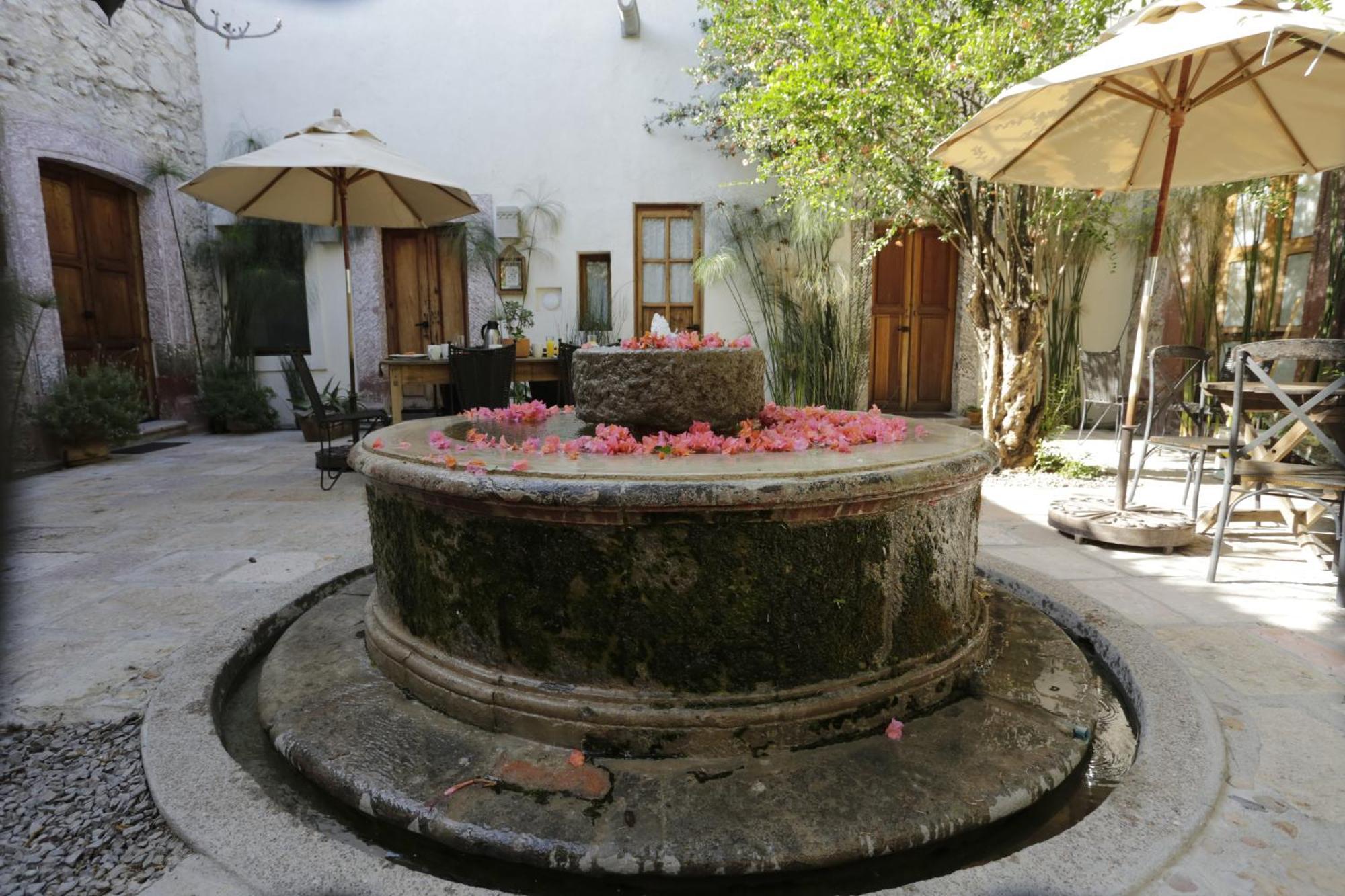 Orchid House San Miguel De Allende Exteriér fotografie